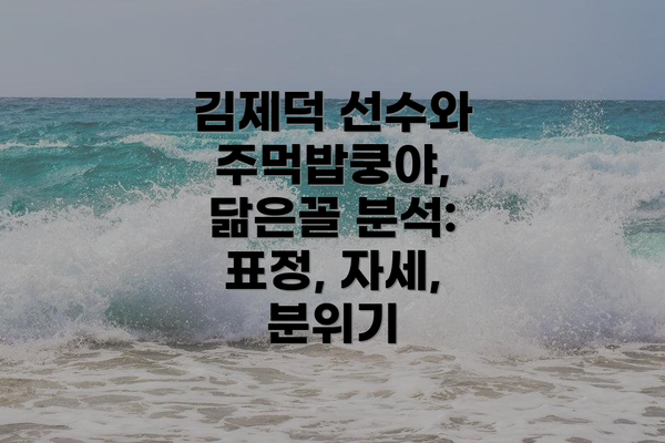 김제덕 선수와 주먹밥쿵야, 닮은꼴 분석: 표정, 자세, 분위기
