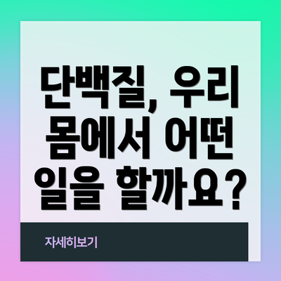 단백질, 우리 몸에서 어떤 일을 할까요?