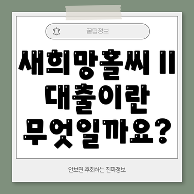 새희망홀씨 II 대출이란 무엇일까요?