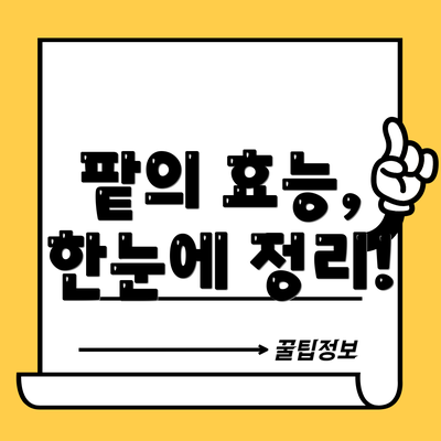 팥의 효능, 한눈에 정리!
