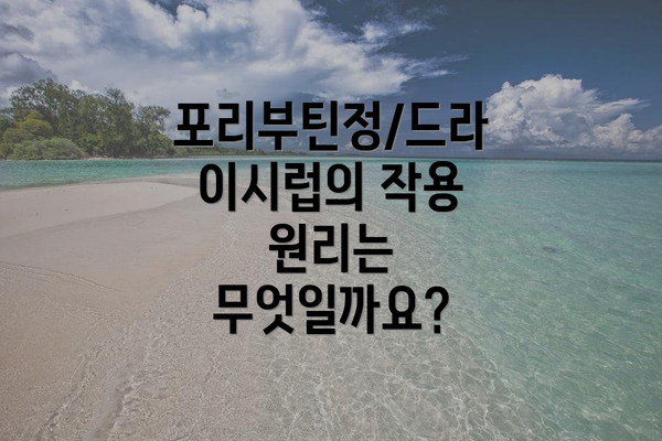 포리부틴정/드라이시럽의 작용 원리는 무엇일까요?