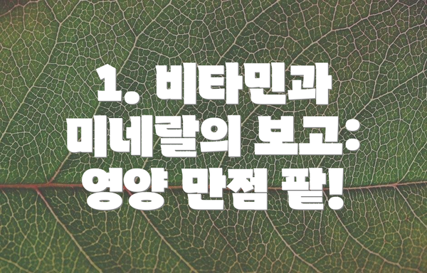 1. 비타민과 미네랄의 보고: 영양 만점 팥!