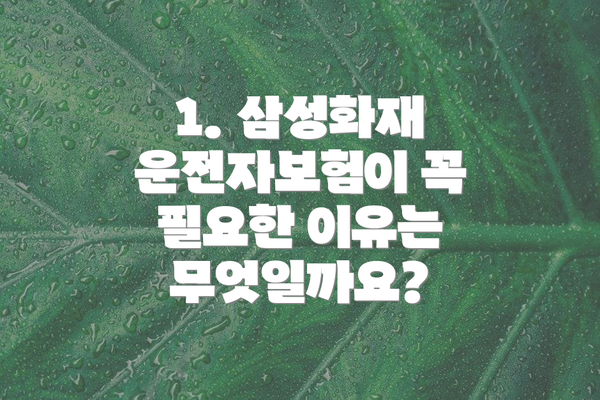 1. 삼성화재 운전자보험이 꼭 필요한 이유는 무엇일까요?