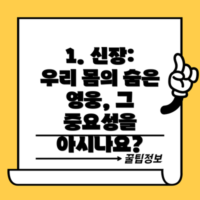 1. 신장: 우리 몸의 숨은 영웅, 그 중요성을 아시나요?