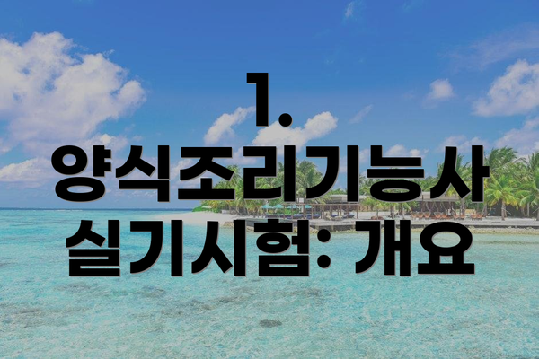 1. 양식조리기능사 실기시험: 개요