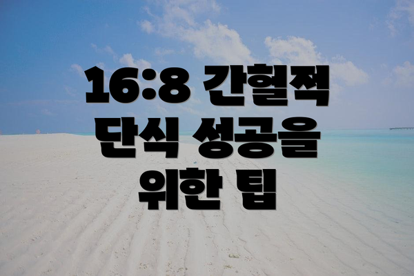16:8 간헐적 단식 성공을 위한 팁