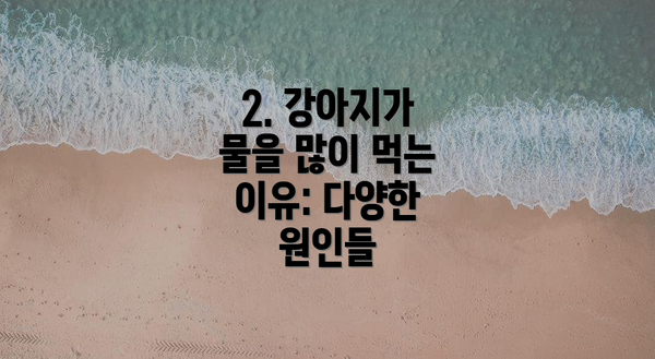 2. 강아지가 물을 많이 먹는 이유: 다양한 원인들