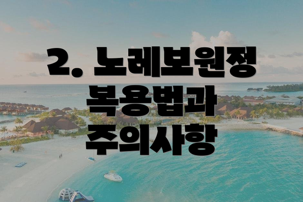 2. 노레보원정 복용법과 주의사항