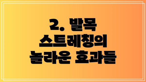 2. 발목 스트레칭의 놀라운 효과들