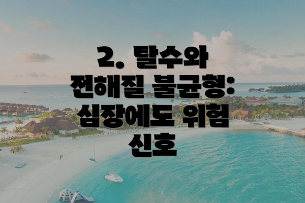 2. 탈수와 전해질 불균형: 심장에도 위험 신호