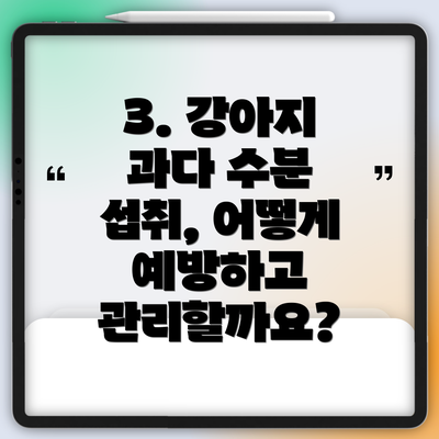 3. 강아지 과다 수분 섭취, 어떻게 예방하고 관리할까요?