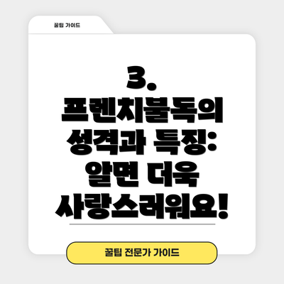 3. 프렌치불독의 성격과 특징: 알면 더욱 사랑스러워요!