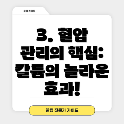 3. 혈압 관리의 핵심: 칼륨의 놀라운 효과!