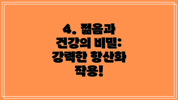4. 젊음과 건강의 비밀: 강력한 항산화 작용!