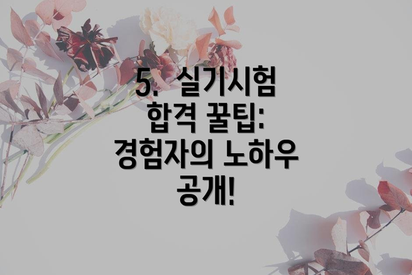 5.  실기시험 합격 꿀팁: 경험자의 노하우 공개!