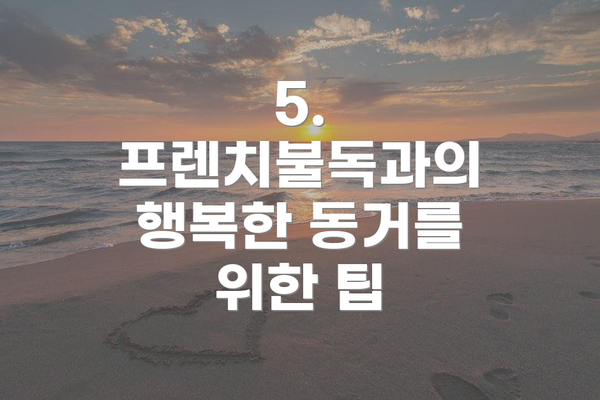 5.  프렌치불독과의 행복한 동거를 위한 팁