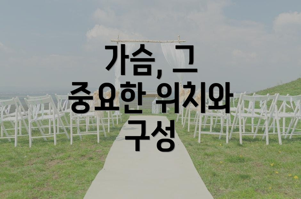 가슴, 그 중요한 위치와 구성