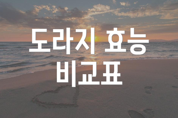 도라지 효능 비교표