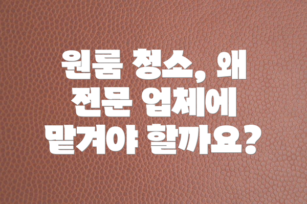 원룸 청소, 왜 전문 업체에 맡겨야 할까요?