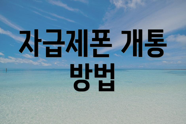 자급제폰 개통 방법
