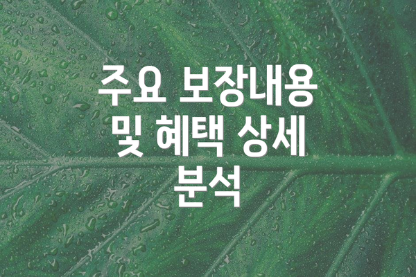 주요 보장내용 및 혜택 상세 분석