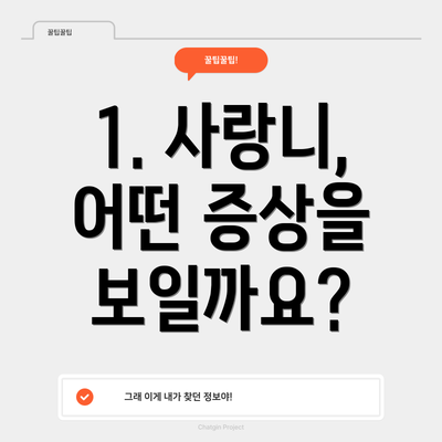 1. 사랑니, 어떤 증상을 보일까요?