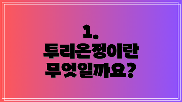 1. 투리온정이란 무엇일까요?