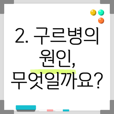 2. 구르병의 원인, 무엇일까요?