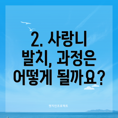 2. 사랑니 발치, 과정은 어떻게 될까요?