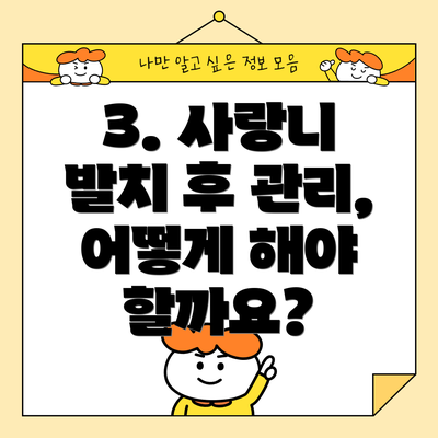 3. 사랑니 발치 후 관리, 어떻게 해야 할까요?