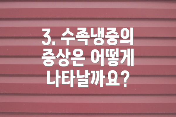 3. 수족냉증의 증상은 어떻게 나타날까요?