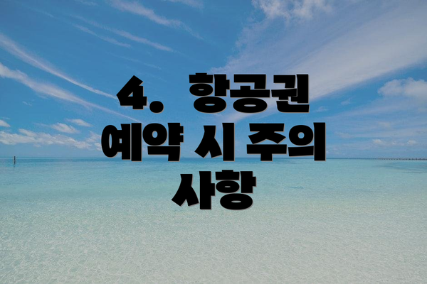 4.  항공권 예약 시 주의 사항