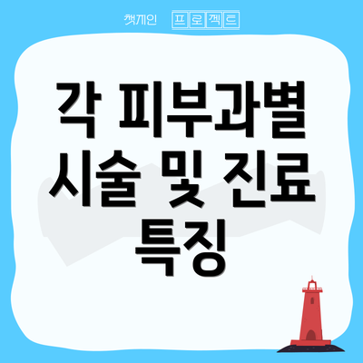각 피부과별 시술 및 진료 특징