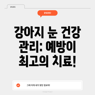 강아지 눈 건강 관리: 예방이 최고의 치료!