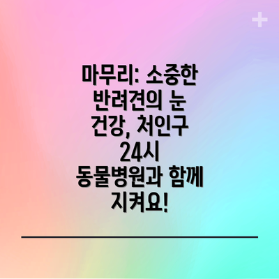 마무리: 소중한 반려견의 눈 건강, 처인구 24시 동물병원과 함께 지켜요!