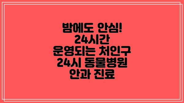 밤에도 안심! 24시간 운영되는 처인구 24시 동물병원 안과 진료