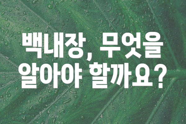 백내장, 무엇을 알아야 할까요?