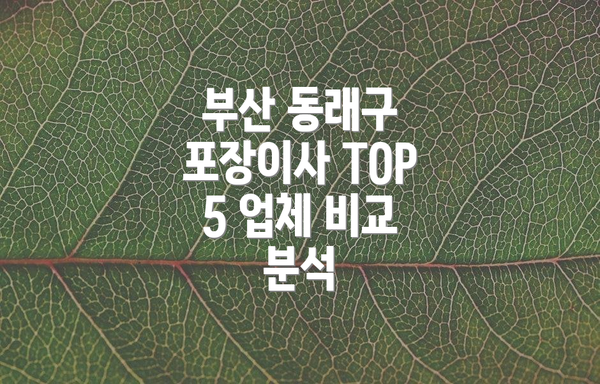 부산 동래구 포장이사 TOP 5 업체 비교 분석