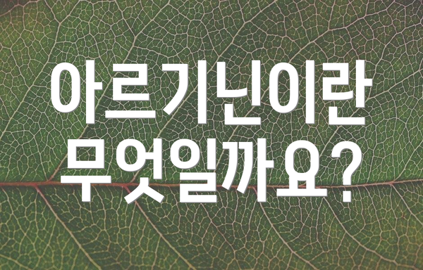 아르기닌이란 무엇일까요?