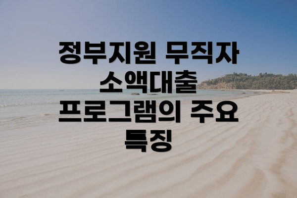 정부지원 무직자 소액대출 프로그램의 주요 특징