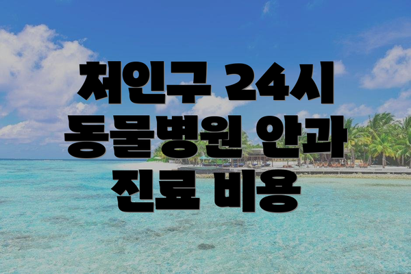 처인구 24시 동물병원 안과 진료 비용