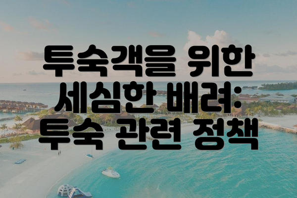 투숙객을 위한 세심한 배려: 투숙 관련 정책