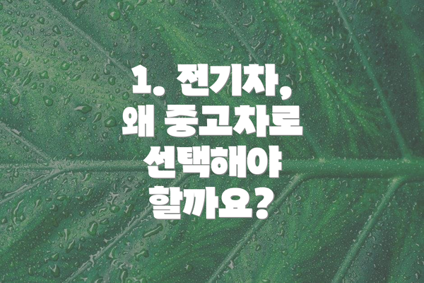 1. 전기차, 왜 중고차로 선택해야 할까요?