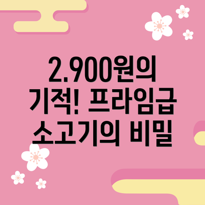 2.900원의 기적! 프라임급 소고기의 비밀