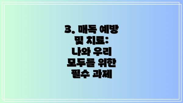 3. 매독 예방 및 치료:  나와 우리 모두를 위한 필수 과제