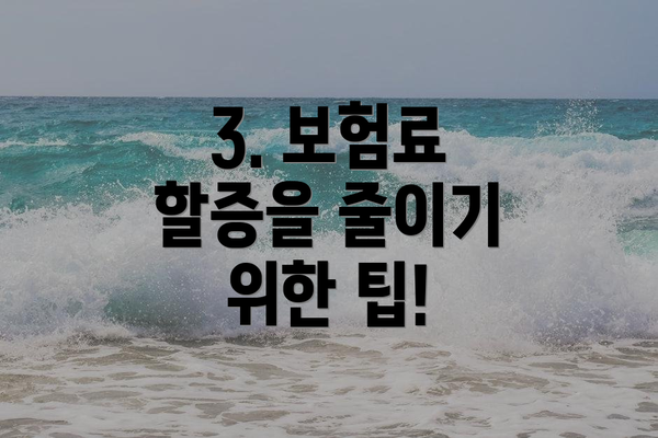3. 보험료 할증을 줄이기 위한 팁!