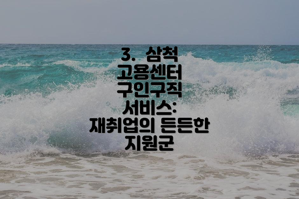3.  삼척 고용센터 구인구직 서비스: 재취업의 든든한 지원군