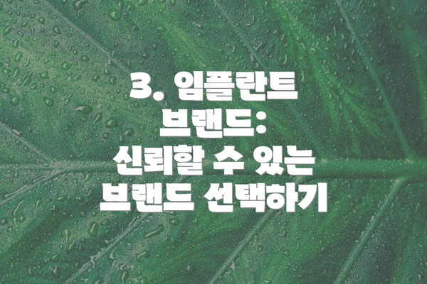 3. 임플란트 브랜드:  신뢰할 수 있는 브랜드 선택하기