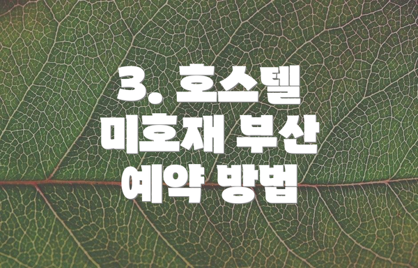 3. 호스텔 미호재 부산 예약 방법