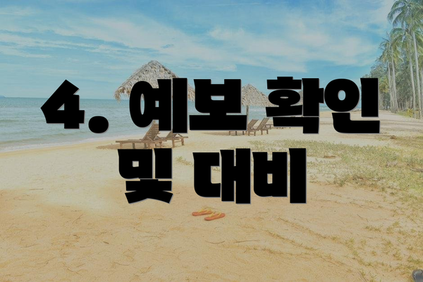 4. 예보 확인 및 대비